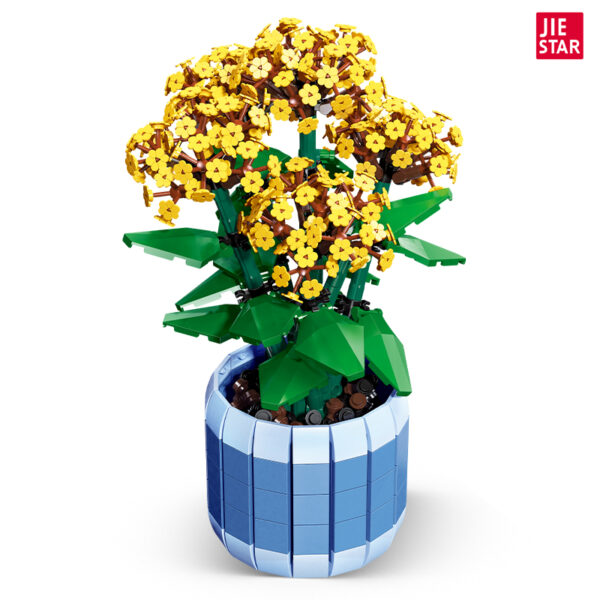 Jie Star 92364 Jonquilles