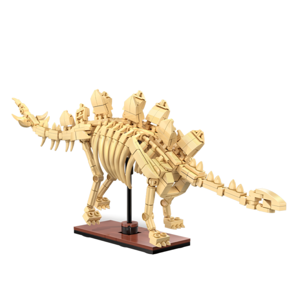 Fossiles de dinosaures CaDA Stégosaure C59012W