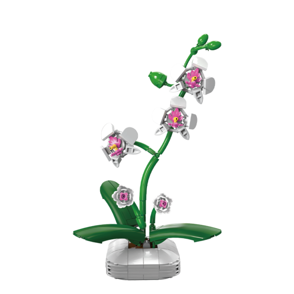 Orchidée CaDA en pot de fleurs C59028W