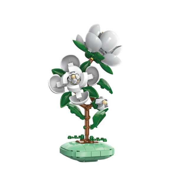 Camélia CaDA en pot de fleurs C59029W