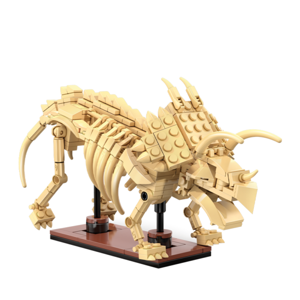 Fossiles de dinosaures CaDA Tricératops C59013W23